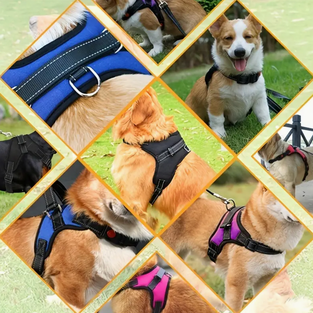 Doglee No-Pull Reflective Adjustable Dog Harness with Handle – XS to XL Sizes