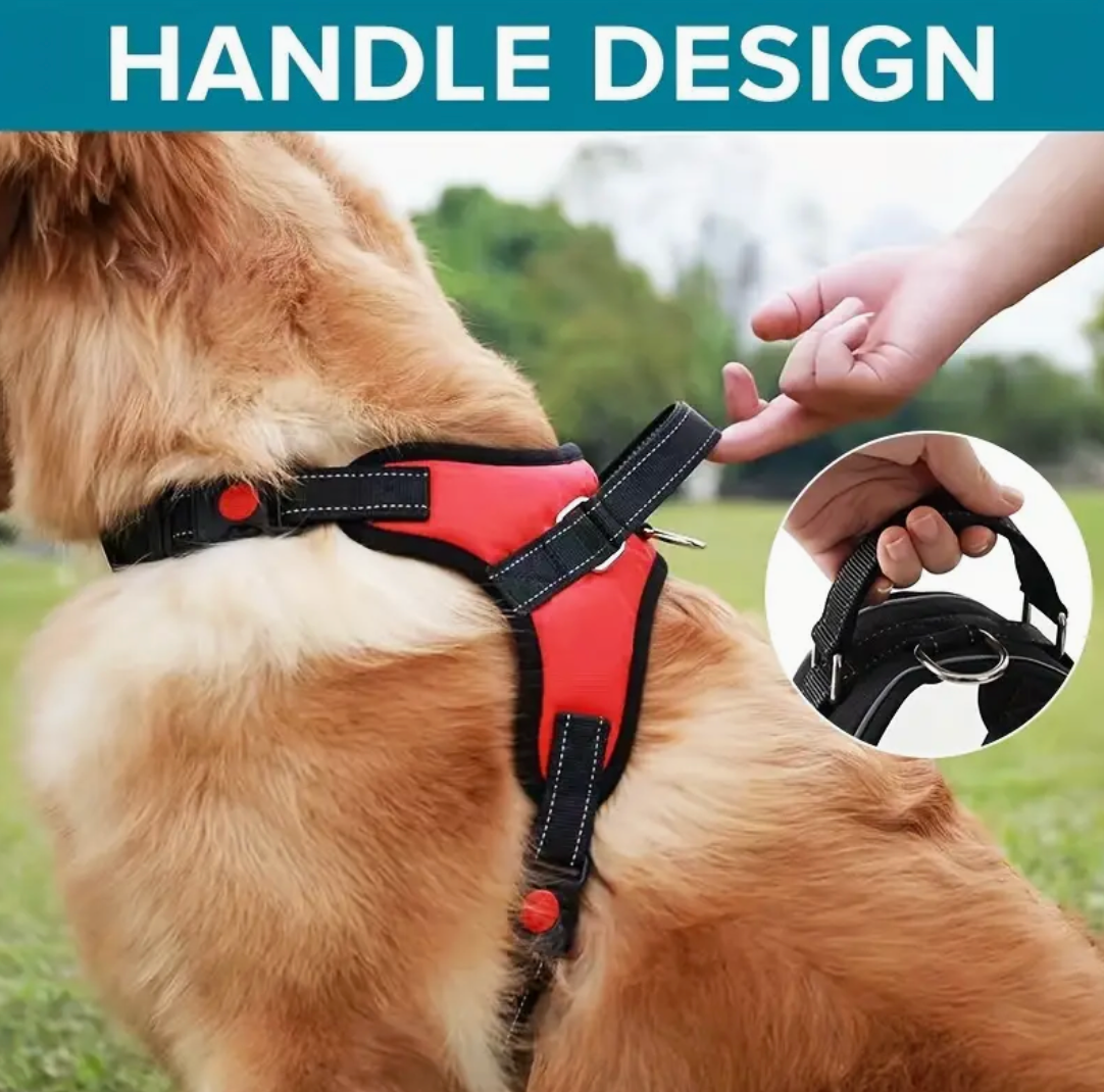 Doglee No-Pull Reflective Adjustable Dog Harness with Handle – XS to XL Sizes
