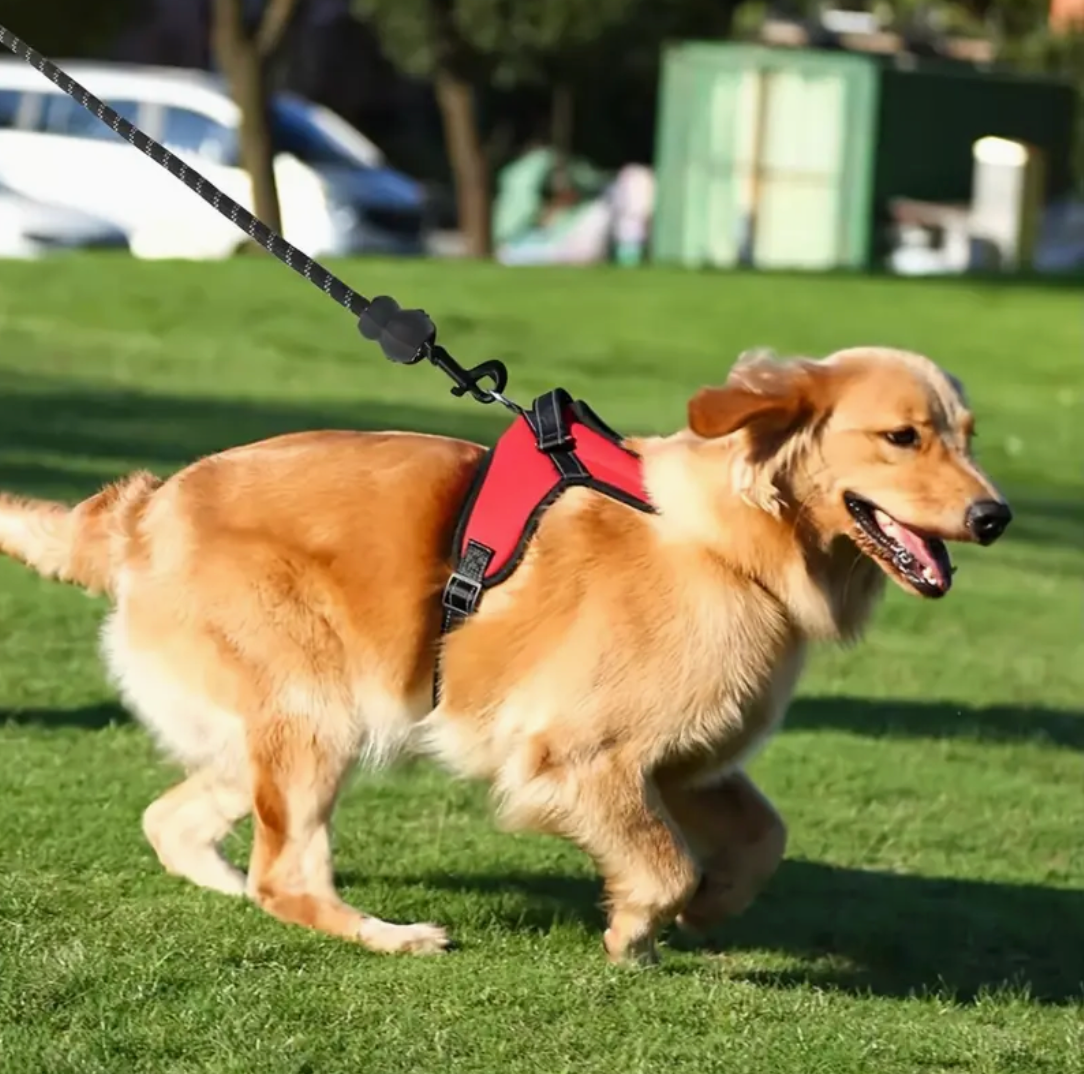 Doglee No-Pull Reflective Adjustable Dog Harness with Handle – XS to XL Sizes