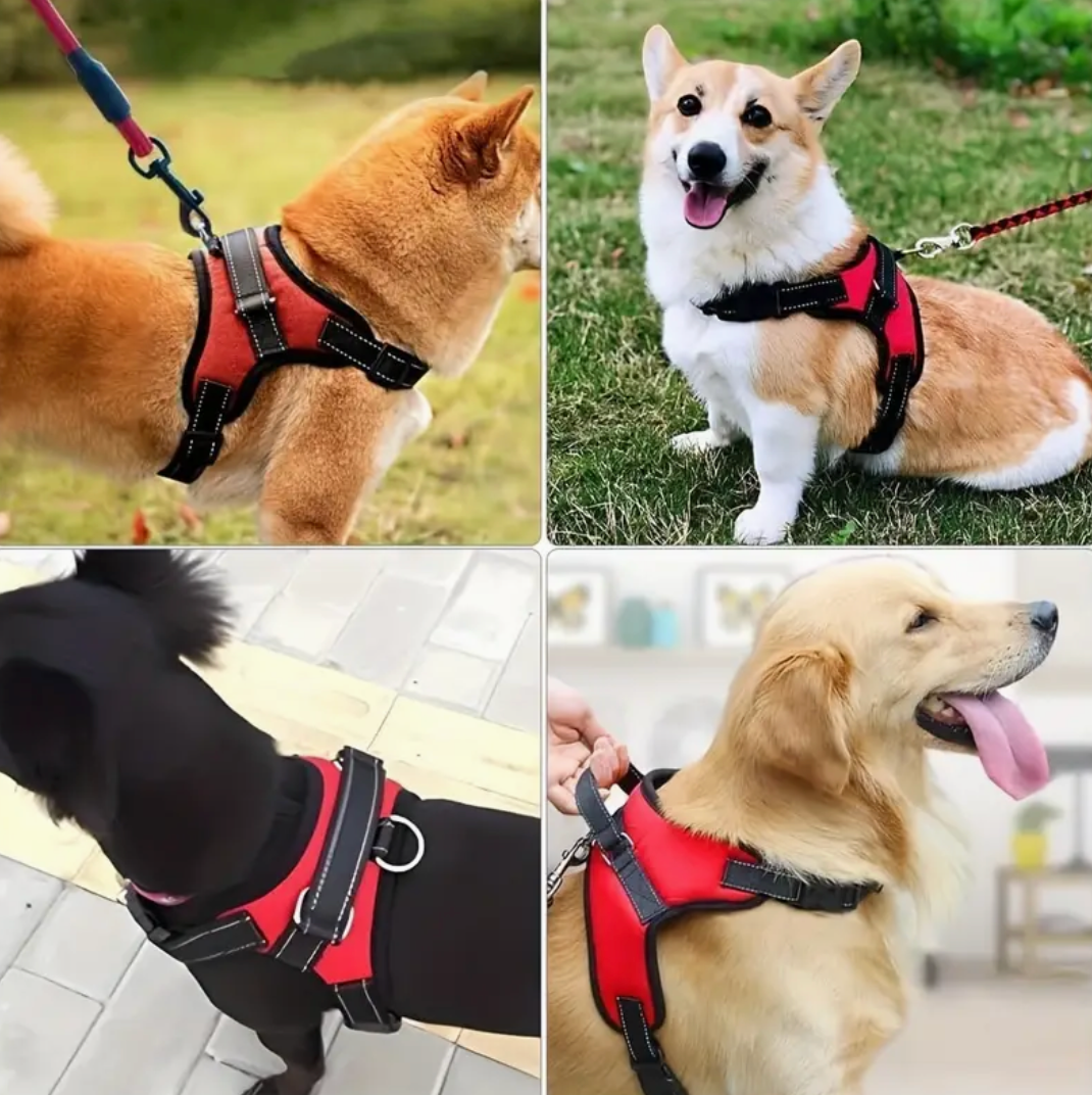 Doglee No-Pull Reflective Adjustable Dog Harness with Handle – XS to XL Sizes