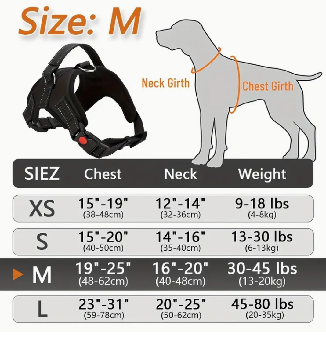 Doglee No-Pull Reflective Adjustable Dog Harness with Handle – XS to XL Sizes