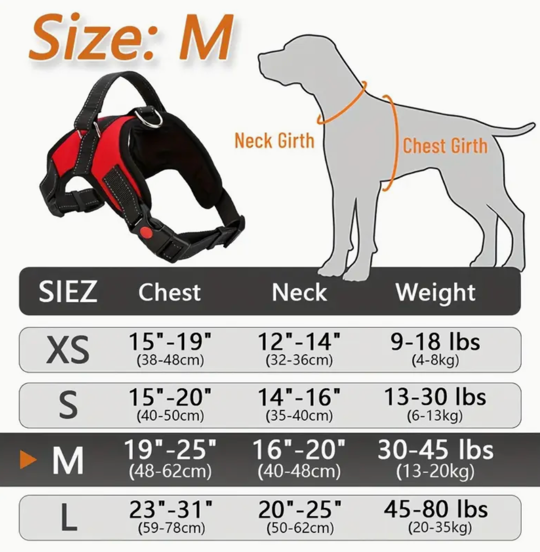 Doglee No-Pull Reflective Adjustable Dog Harness with Handle – XS to XL Sizes
