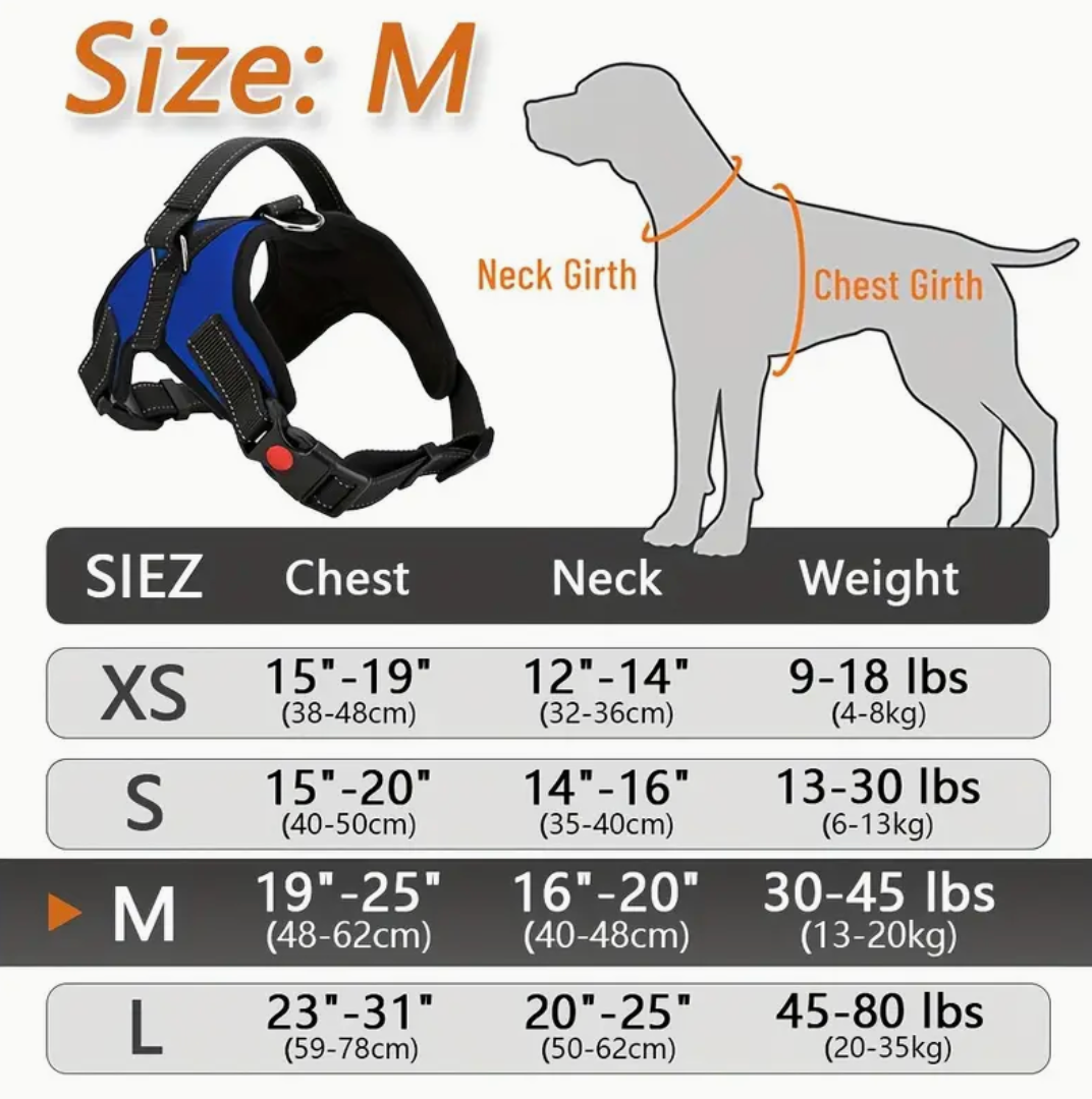 Doglee No-Pull Reflective Adjustable Dog Harness with Handle – XS to XL Sizes