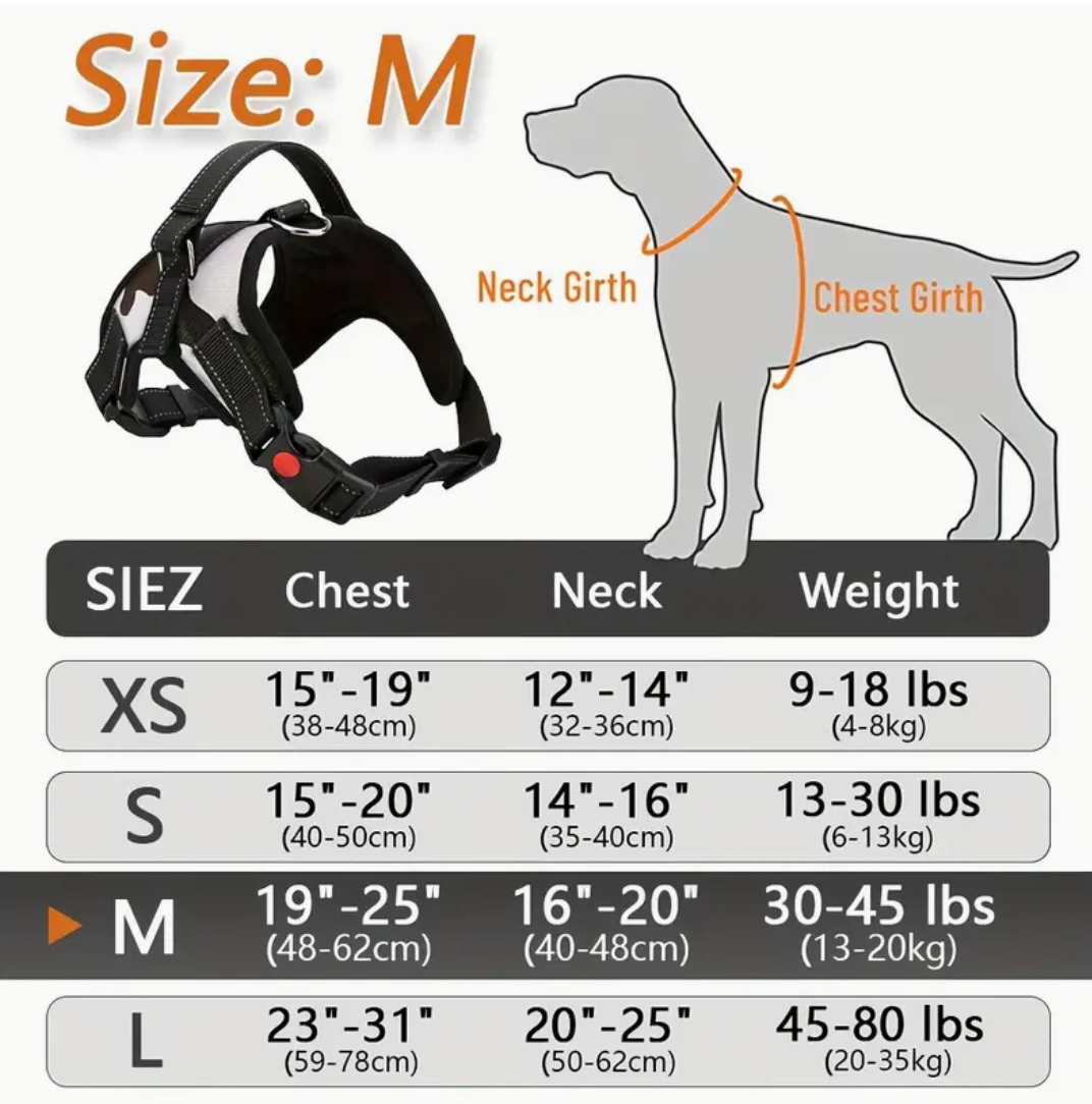 Doglee No-Pull Reflective Adjustable Dog Harness with Handle – XS to XL Sizes