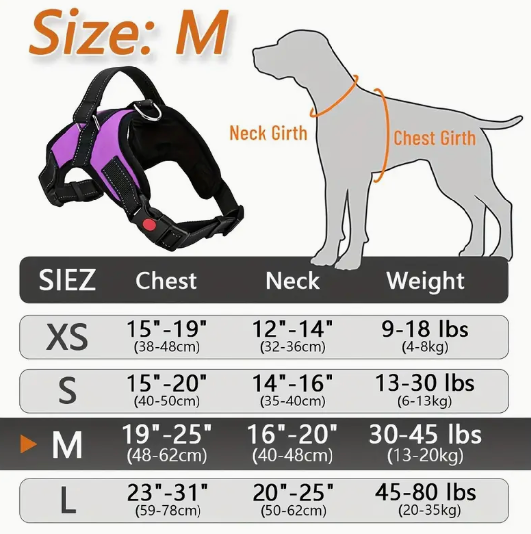 Doglee No-Pull Reflective Adjustable Dog Harness with Handle – XS to XL Sizes