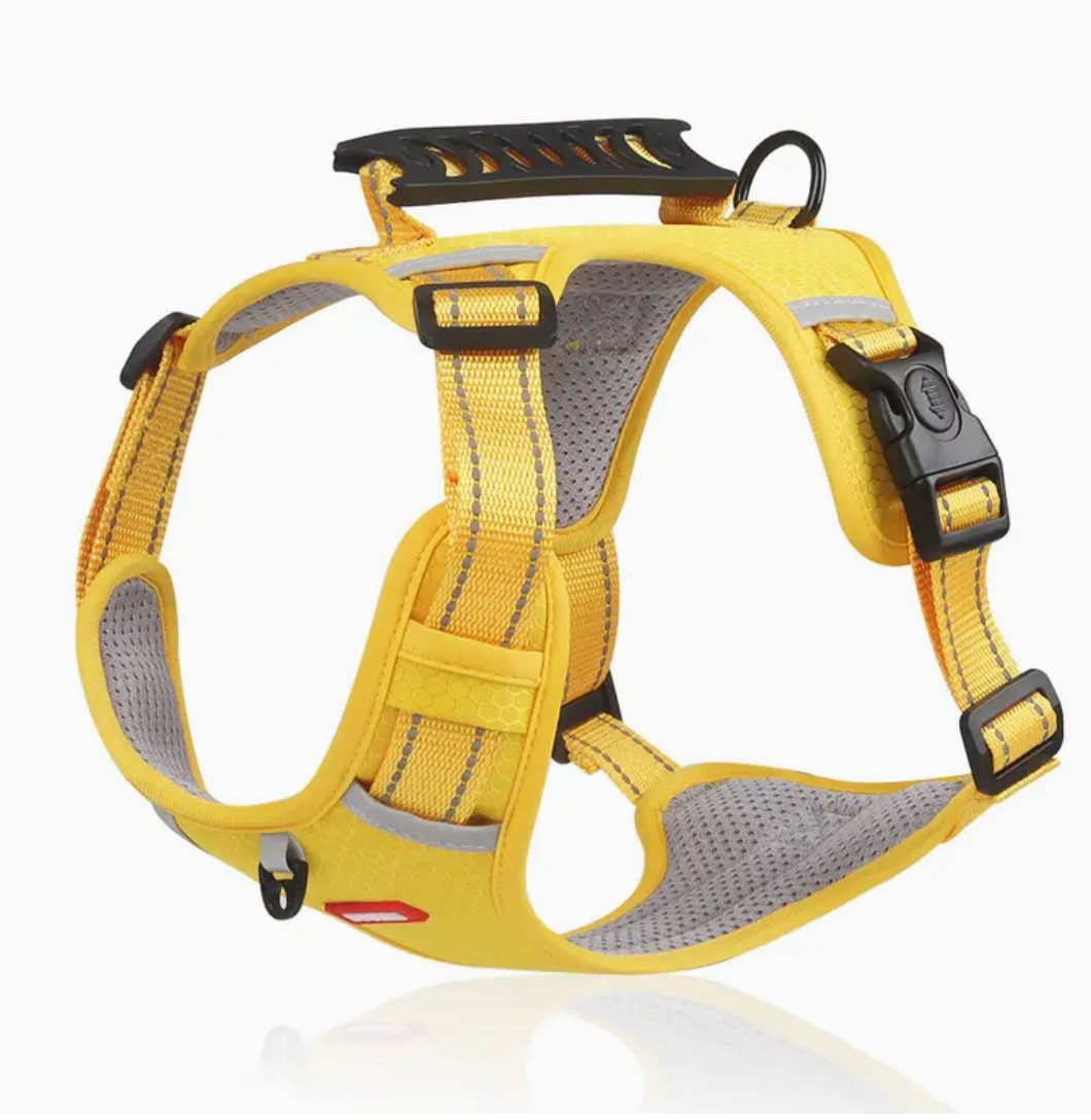 XXS Adjustable No-Pull Pet Harness for Dogs & Cats – Soft Padded Harness with Handle for Comfortable, Secure Control