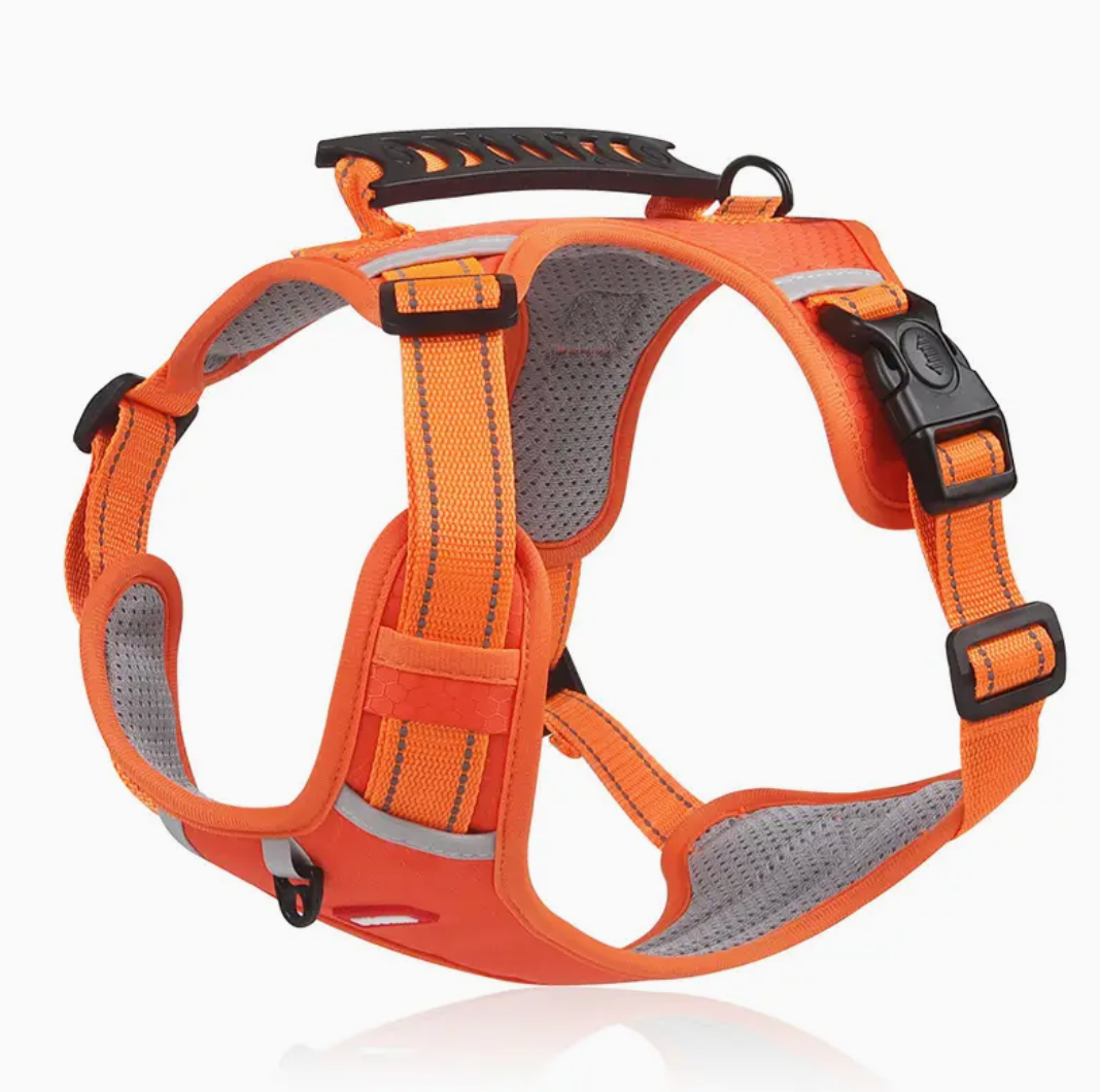 XXS Adjustable No-Pull Pet Harness for Dogs & Cats – Soft Padded Harness with Handle for Comfortable, Secure Control