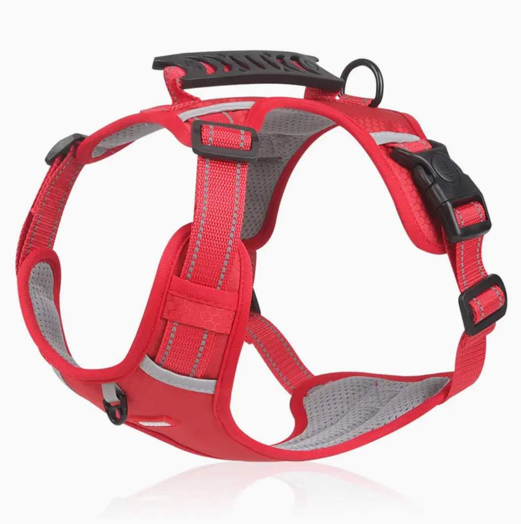 XXS Adjustable No-Pull Pet Harness for Dogs & Cats – Soft Padded Harness with Handle for Comfortable, Secure Control