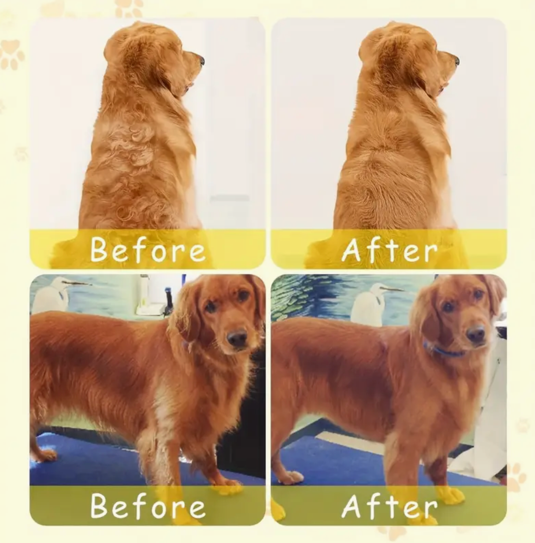 Electric Pet Grooming & Massage Comb – Hair Removal, Detangling & Massage Brush for Cats & Dogs