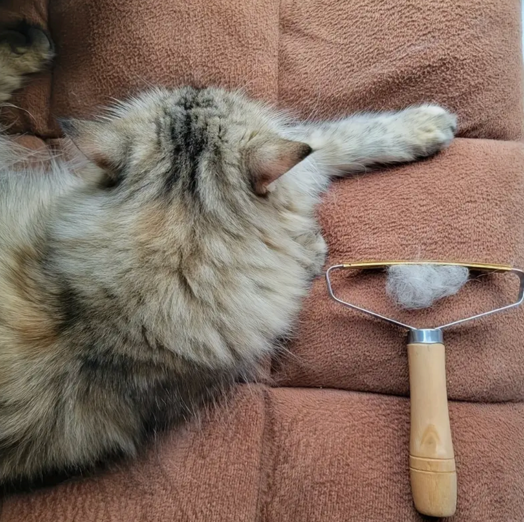 Pet Hair Remover Brush – Gentle Fur Shaving & Grooming Tool for Cats & Dogs