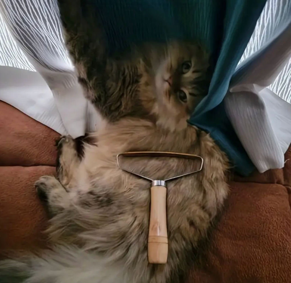 Pet Hair Remover Brush – Gentle Fur Shaving & Grooming Tool for Cats & Dogs
