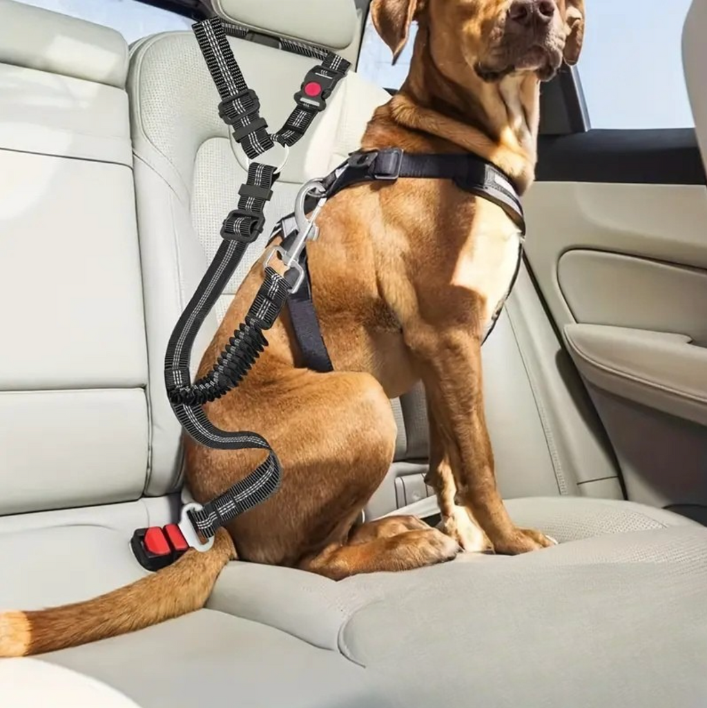 2-in-1 Adjustable Pet Car Seat Belt & Safety Harness – For Small, Medium & Large Dogs