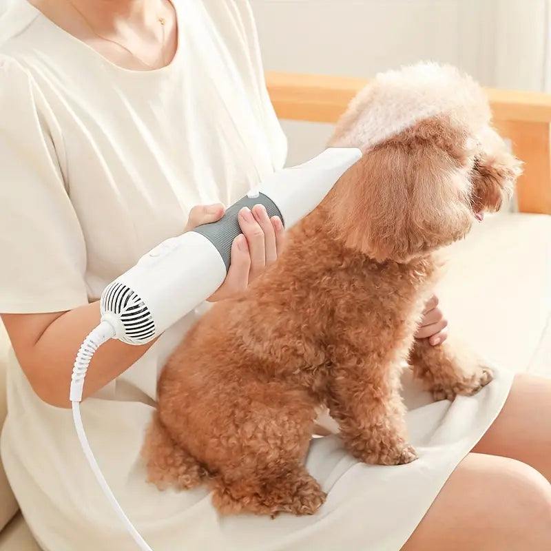 Professional 3-Speed Pet Grooming Blow Dryer & Brush for Cats and Dogs – 3 Blowing Modes, 220-240V Type-C Plug