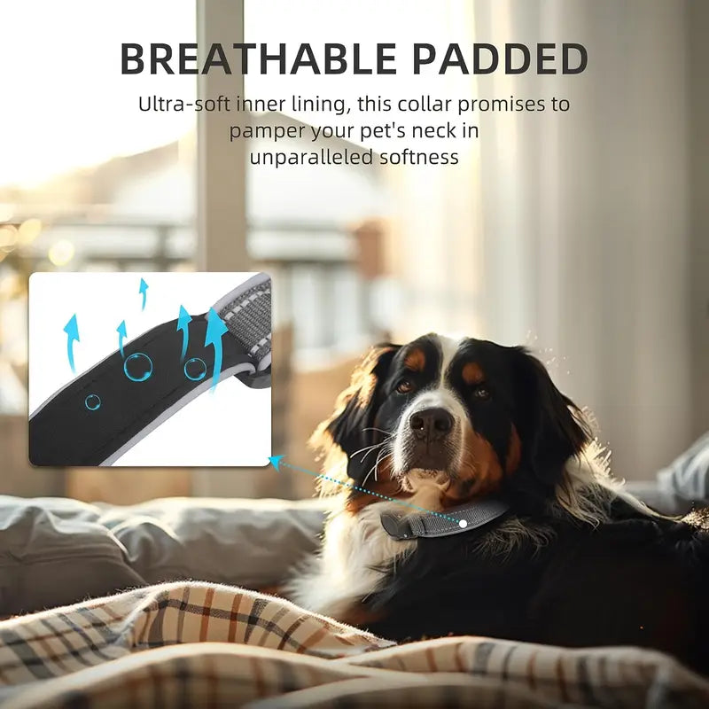 Small Dog Heavy-Duty Waterproof AirTag Dog Collar – Adjustable Nylon Strap with Reflective Strips & Padded Holder for Small dogs