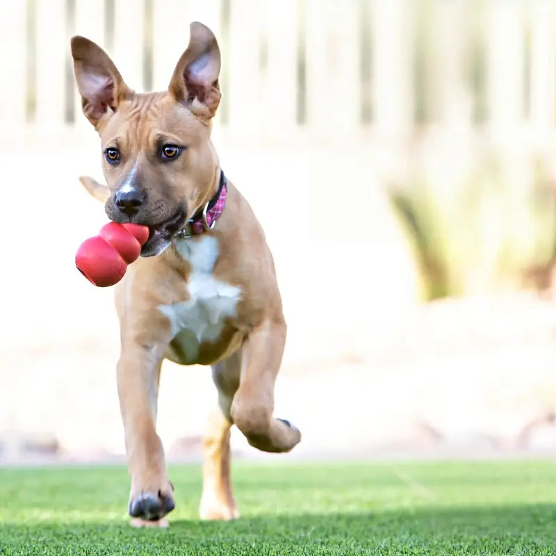 Durable Chew-Proof Dog Toy – Treat-Dispensing Bouncing Rubber Ball for Small to Medium Breeds