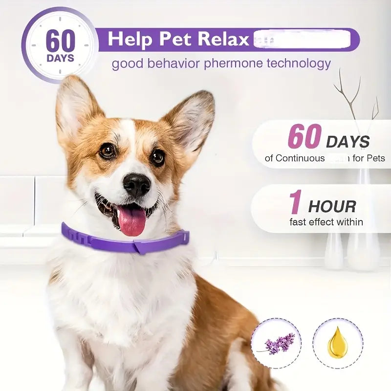 3-Pack Dog Calming Pheromone Collars – 60-Day Stress & Anxiety Relief, Adjustable 25-Inch Natural Collar