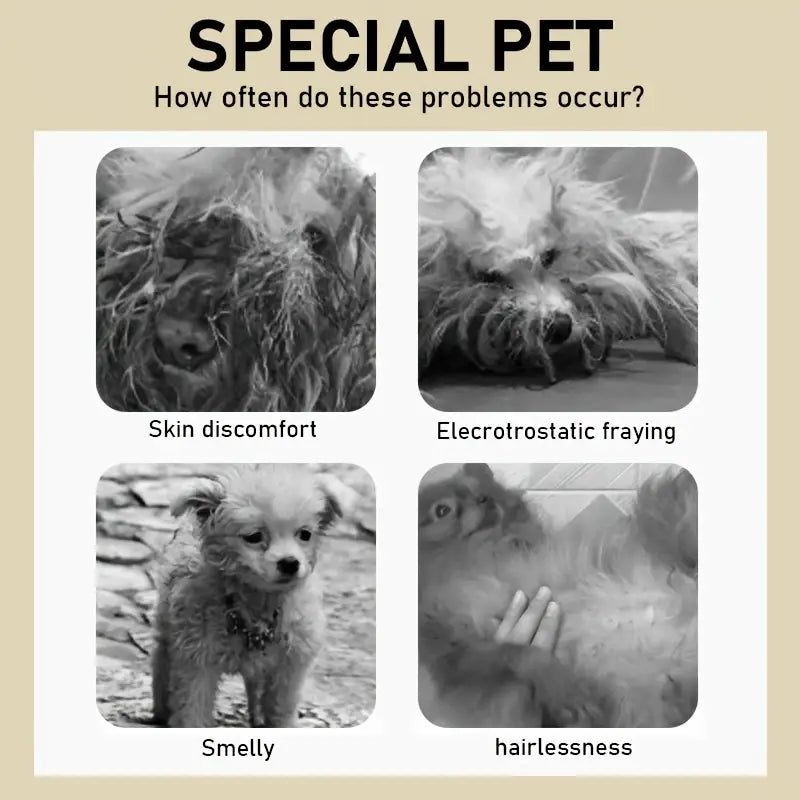 Enhanced 100ml 5-in-1 Pet Shampoo – Plant-Based, Tear-Free Formula for Dogs & Cats