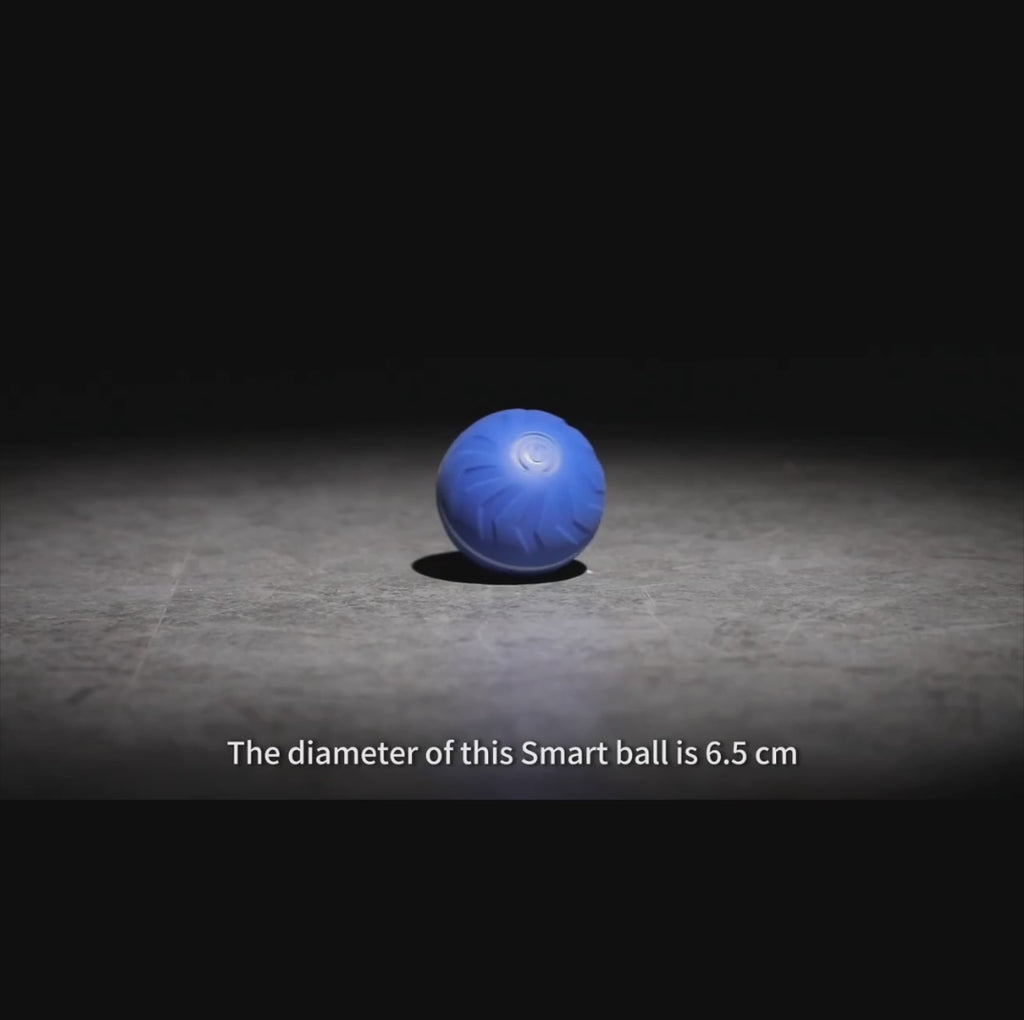 Upgraded Large Size Dog/Cat Jumping Ball
