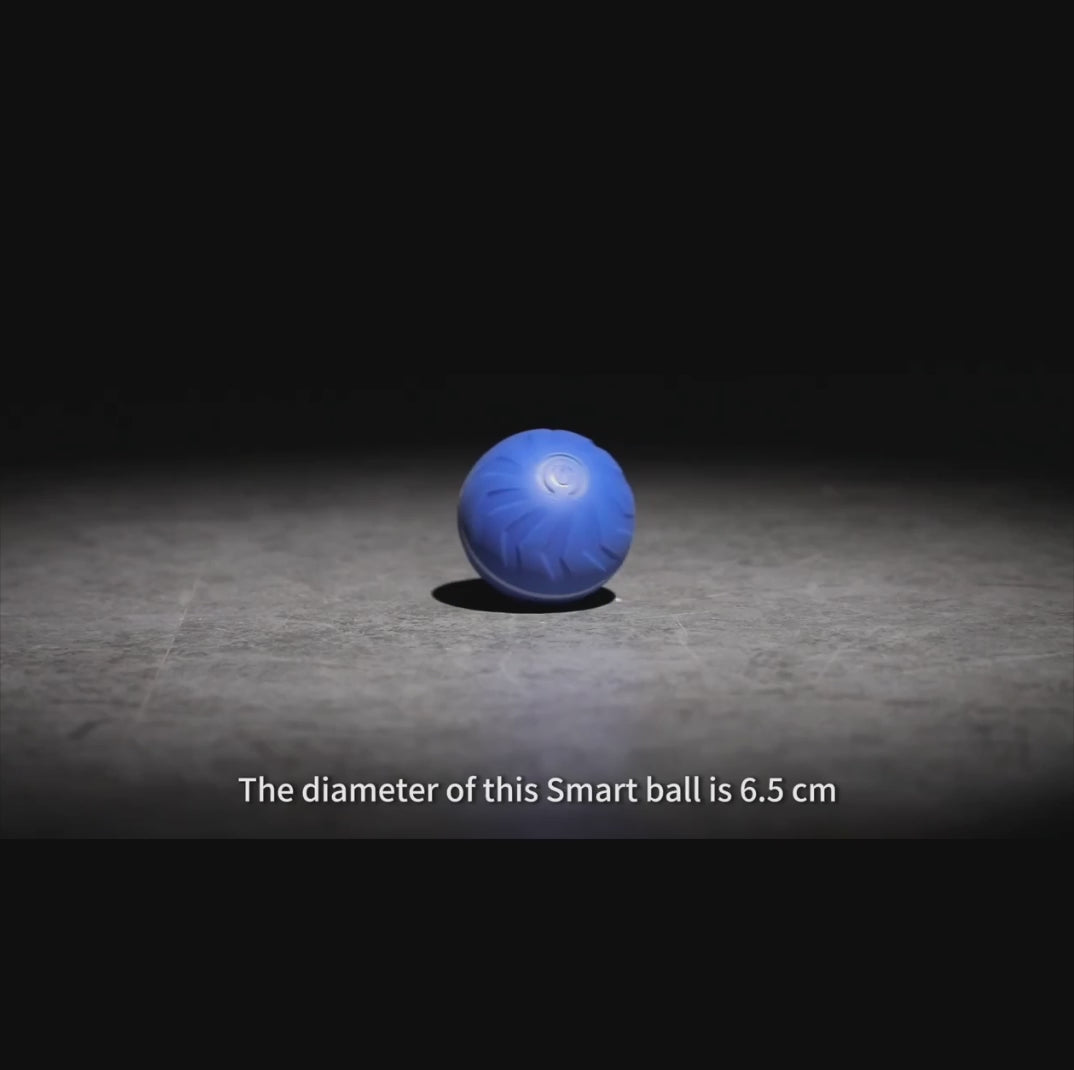 Upgraded Large Size Dog/Cat Jumping Ball