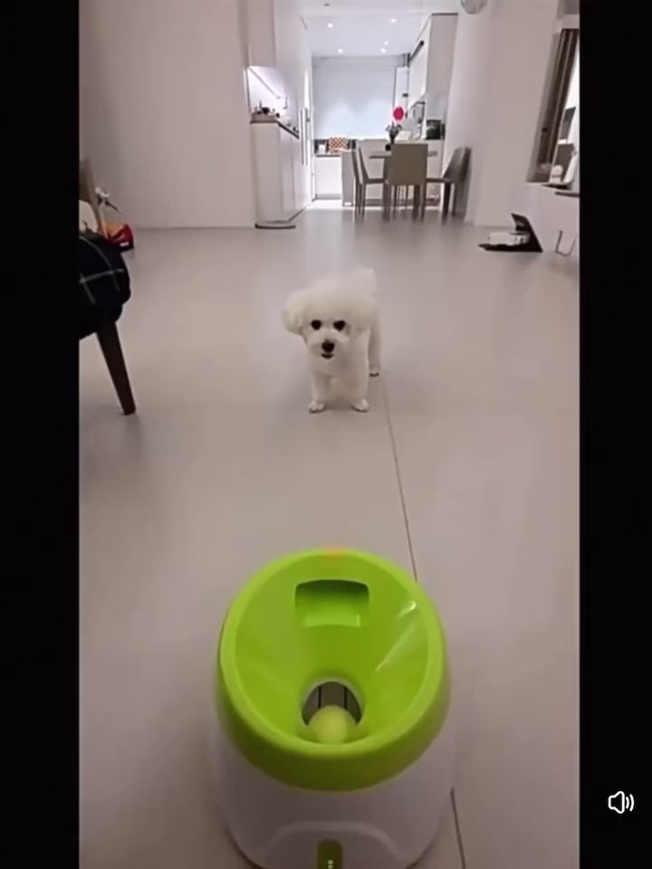 Automatic Dog Ball Launcher – USB Rechargeable Tennis Ball Thrower