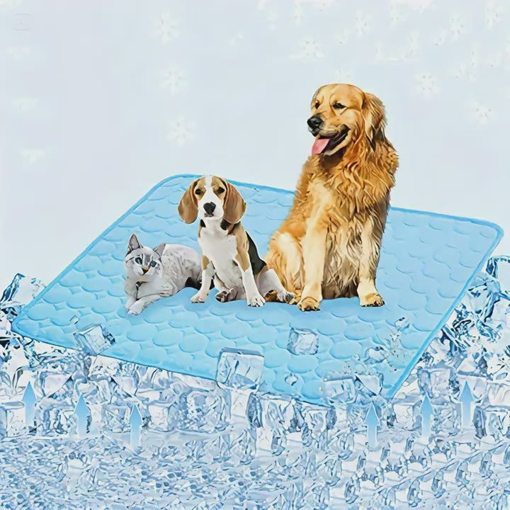 BEIYU PET Cooling Mat for Dogs & Cats – Breathable Washable Summer Comfort Pad (XS - XXL)