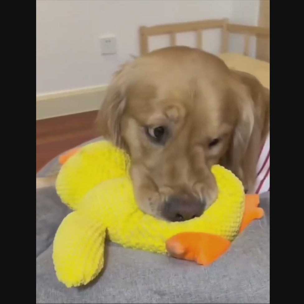 Large Dog Chew Toy With Interactive Squeaker