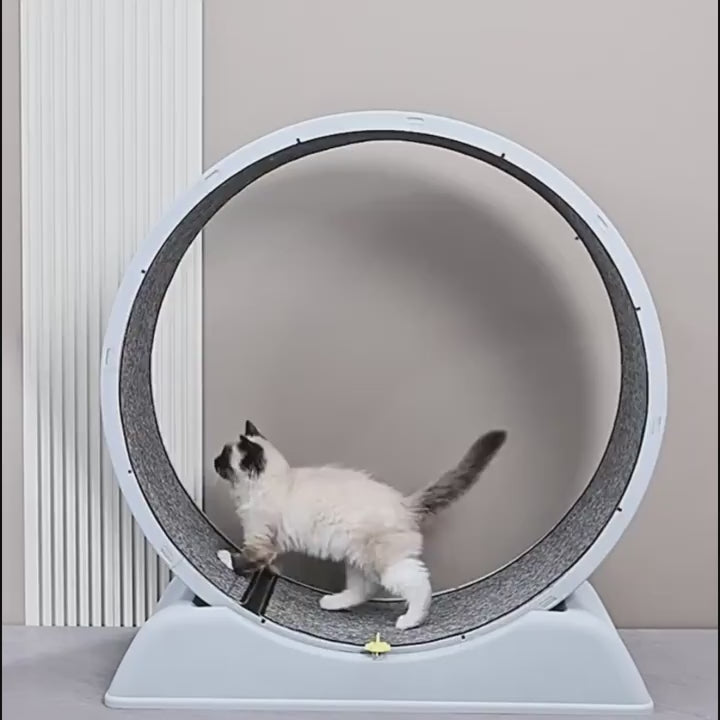 2025 Newest Cat Exercise Wheel with Small Base – Silent Running Wheel for Indoor Cats