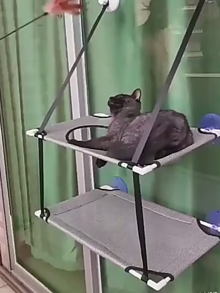 Double-Layer Cat Window Hammock – Sturdy Hanging Bed for Indoor Cats