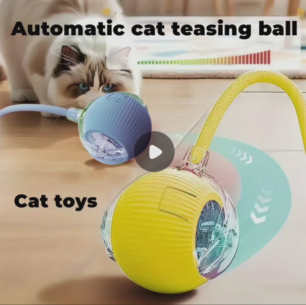 USB Rechargeable Interactive Automatic Cat Toy Ball