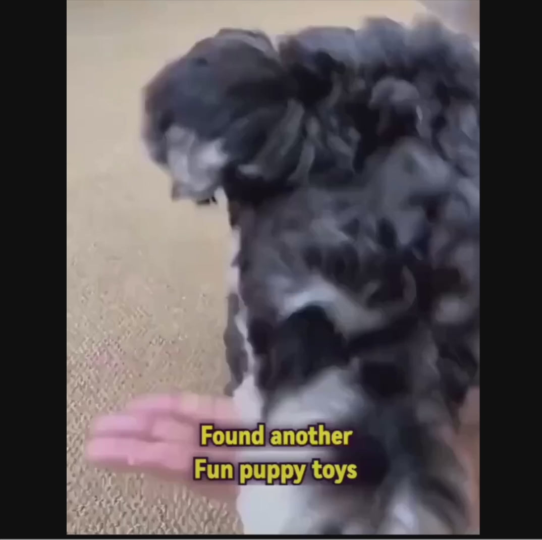 Rechargeable Pet Toy Ball for Cats and Dogs