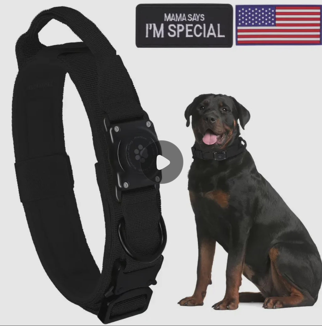 Durable Tactical Dog Collar with Integrated AirTag Holder – Heavy-Duty, Padded, Adjustable Collar for Medium to Large Dogs