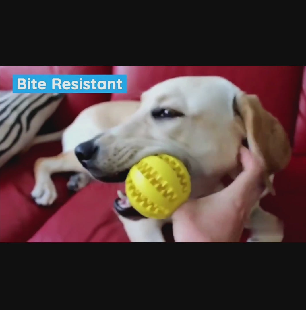 Interactive Rubber Dog Ball Toy – Elastic Chew Toy & Treat Dispenser for Dogs