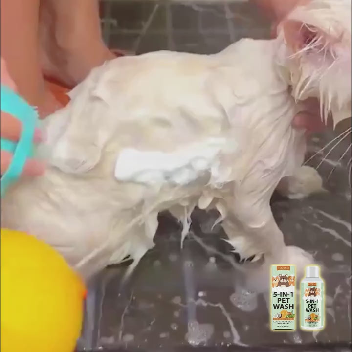 Enhanced 100ml 5-in-1 Pet Shampoo – Plant-Based, Tear-Free Formula for Dogs & Cats