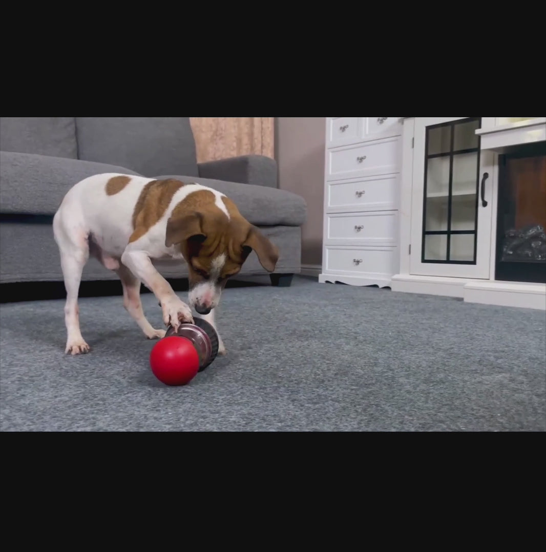 Interactive Slow Feeder Dog Food Dispenser Ball – Anti-Choking, Chew-Resistant Treat Toy for Smart Feeding & Weight Control