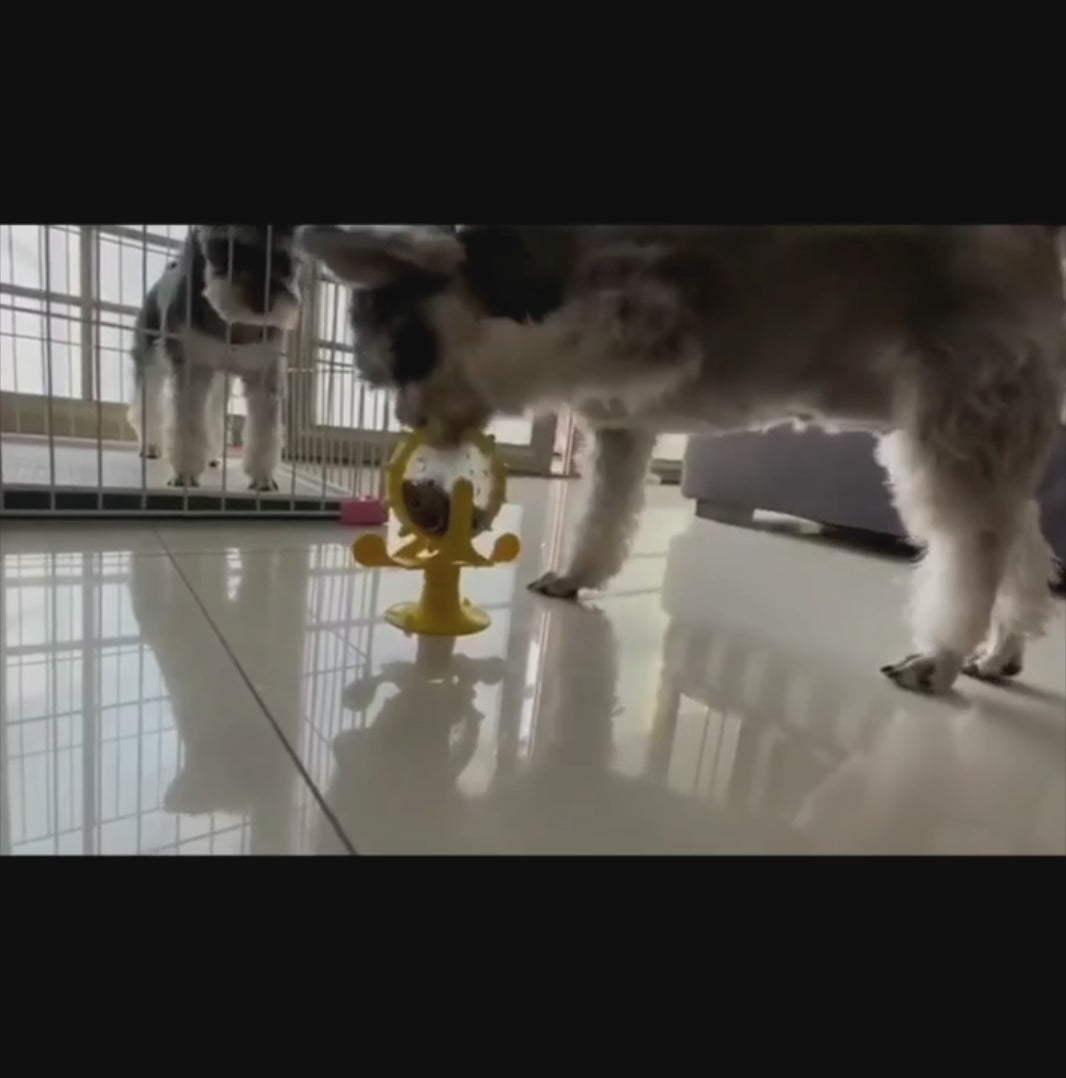 Pet Puzzle Toy &amp; Slow Feeder
