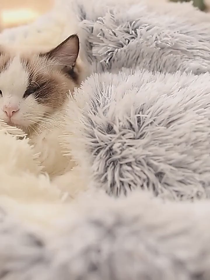 Winter Plush Round Hooded Pet Bed – Cozy Donut Bed for Cats & Dogs (S & M)