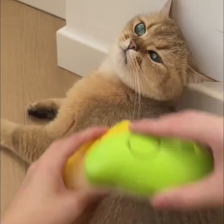 Electric Pet Grooming & Massage Comb – Hair Removal, Detangling & Massage Brush for Cats & Dogs